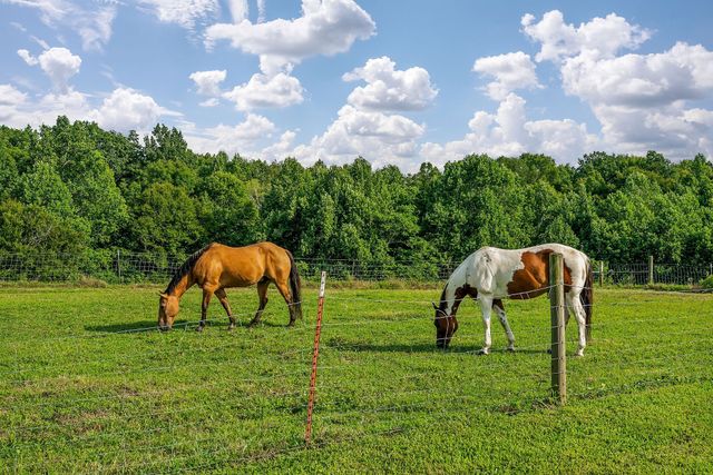 227 Bar Rd, Baxter, TN 38544