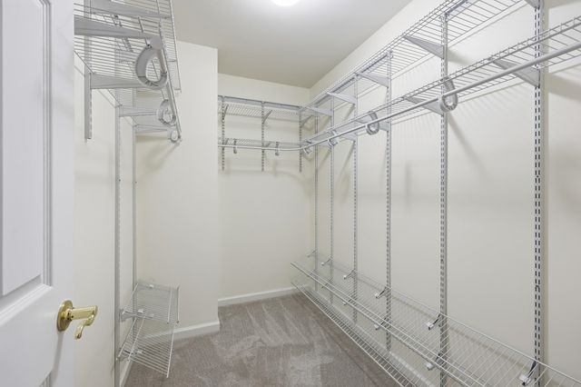 611 Needlerush Ct., Myrtle Beach, SC 29579