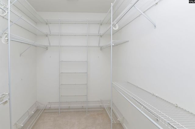 205 Cypress Ridge, Columbia, SC 29229