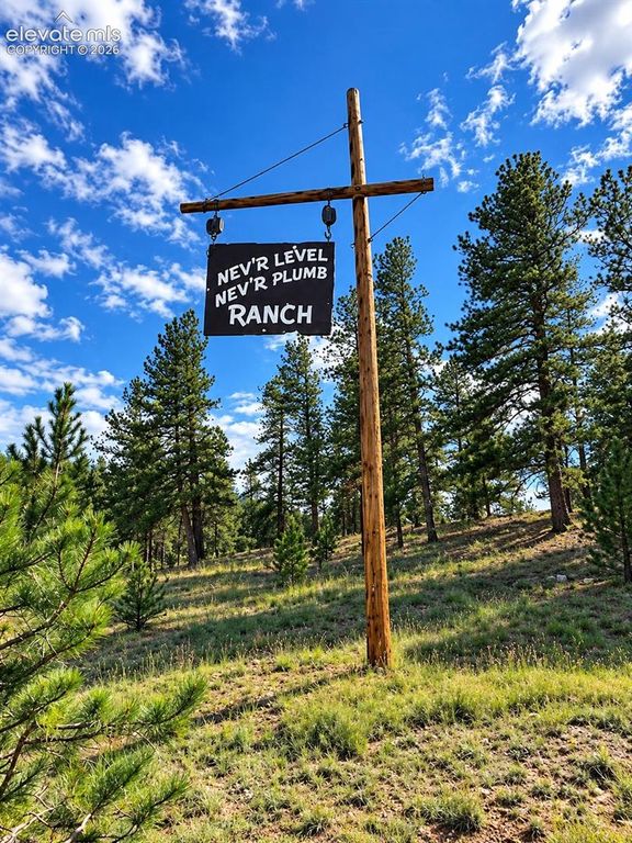 3303 Trail Creek Road, Florissant, CO 80816 — exterior