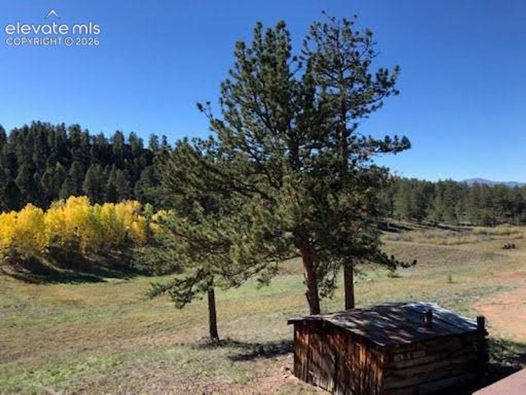 3303 Trail Creek Road, Florissant, CO 80816 — photo 5
