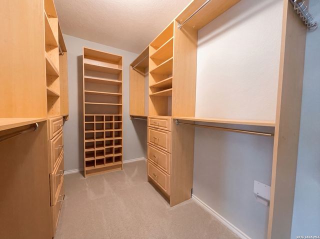 20503 Liatris, San Antonio, TX 78259