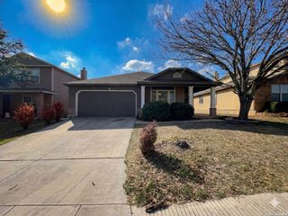 20503 Liatris, San Antonio, TX 78259