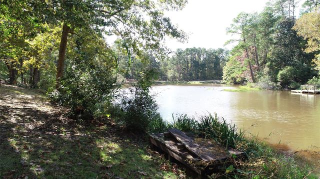 00 Hillbilly Heaven Road, Livingston, TX 77351