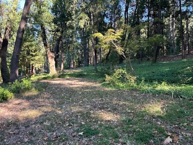 14002 Meadow View Dr, Grass Valley, CA 95945