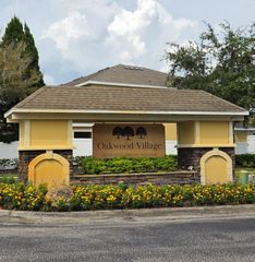 20435 NEEDLETREE DRIVE, Tampa, FL 33647