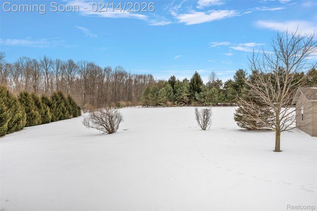 6140 Brookhaven Drive, Imlay Township, MI 48444