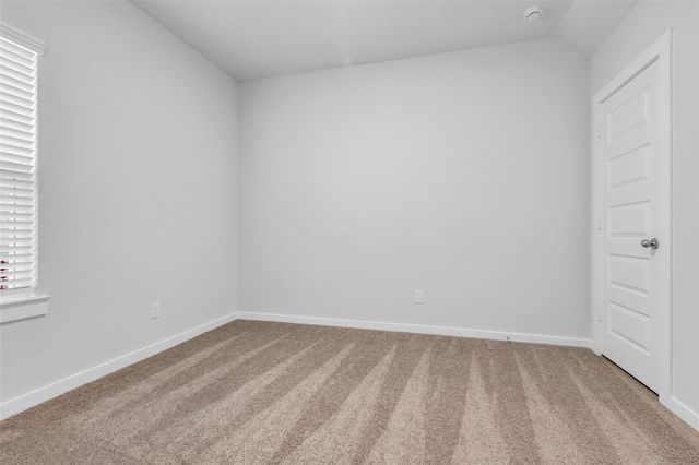 8550 Blueberry Ash Street, Magnolia, TX 77354