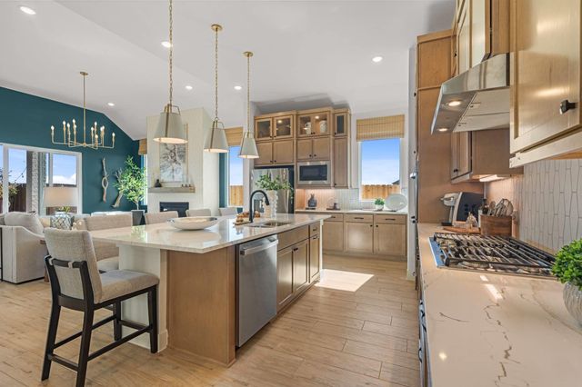 205 Purple Muhly RD, Georgetown, TX 78633