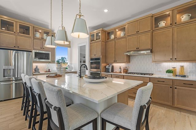 205 Purple Muhly RD, Georgetown, TX 78633