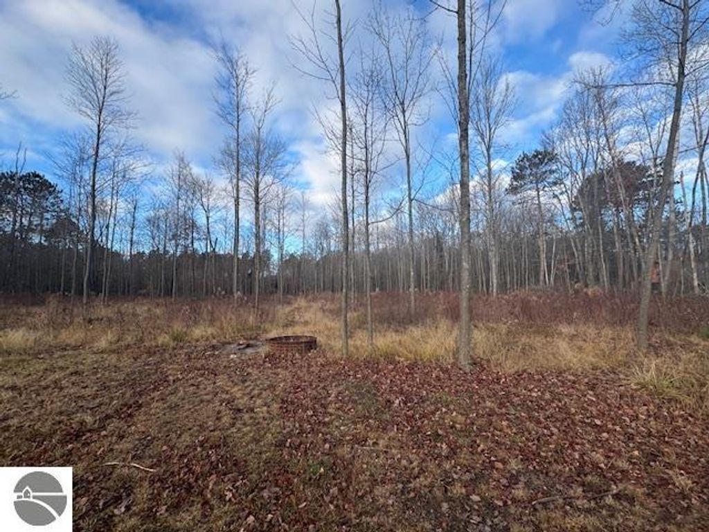 Wooded lot with bare trees and overgrown grass, showcasing the 2.5 acres of land for sale at 2520 S Blodgett, Lake City, MI, ideal for potential homebuyers.