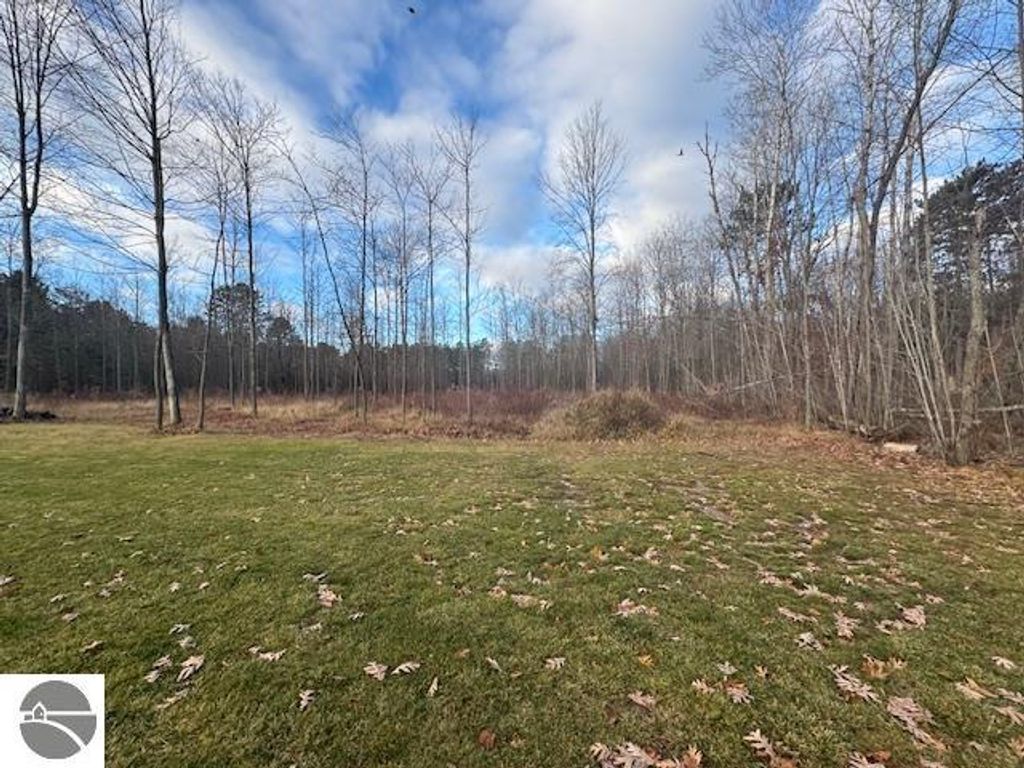 Spacious outdoor view of 2.5-acre property in Lake City, MI, featuring grassy area, scattered leaves, and surrounding trees under a partly cloudy sky.