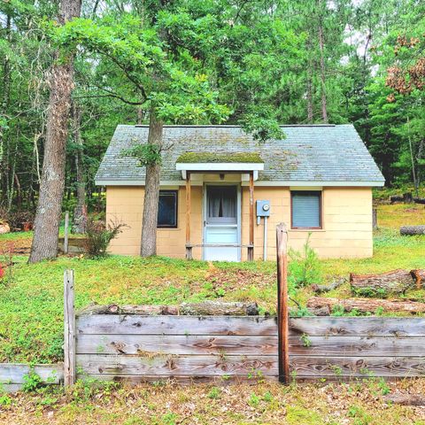 9177 S Lost Pine Avenue, Baldwin, MI 49304