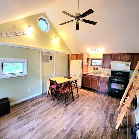 9177 S Lost Pine Avenue, Baldwin, MI 49304