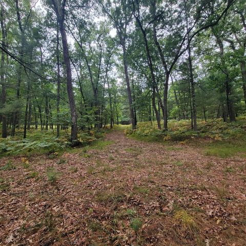 9177 S Lost Pine Avenue, Baldwin, MI 49304