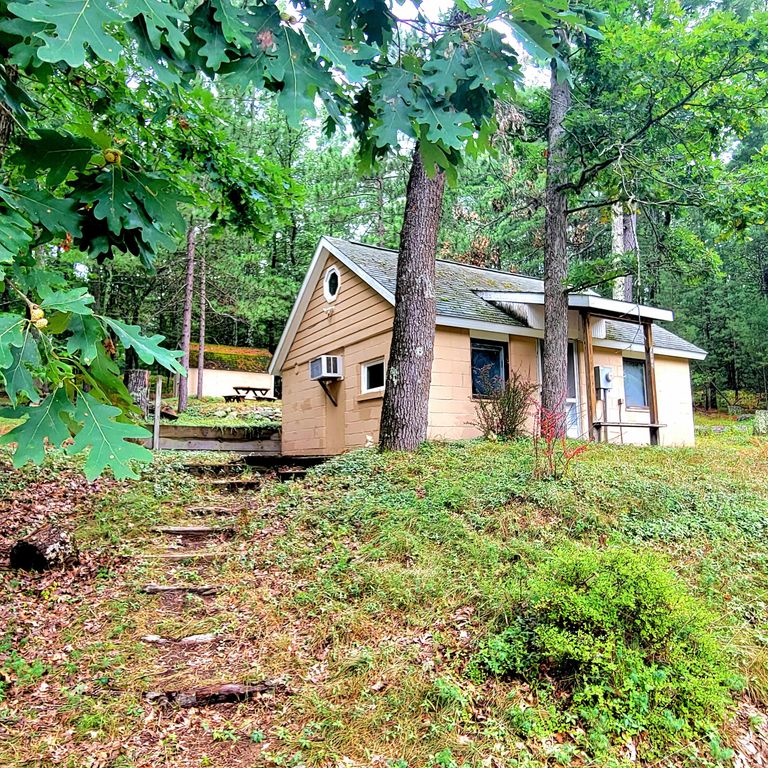 9177 S Lost Pine Avenue, Baldwin, MI 49304