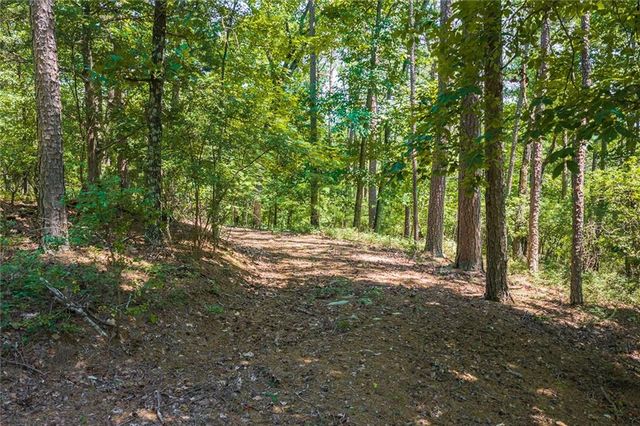 694-95 Railey Ridge, Ranger, GA 30734