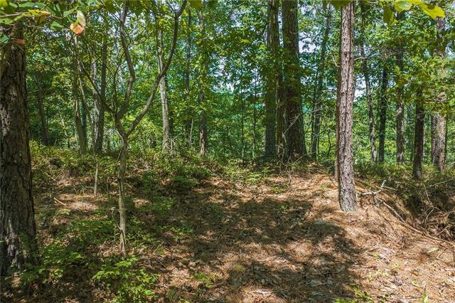 694-95 Railey Ridge, Ranger, GA 30734