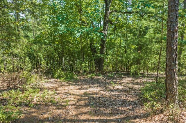 694-95 Railey Ridge, Ranger, GA 30734
