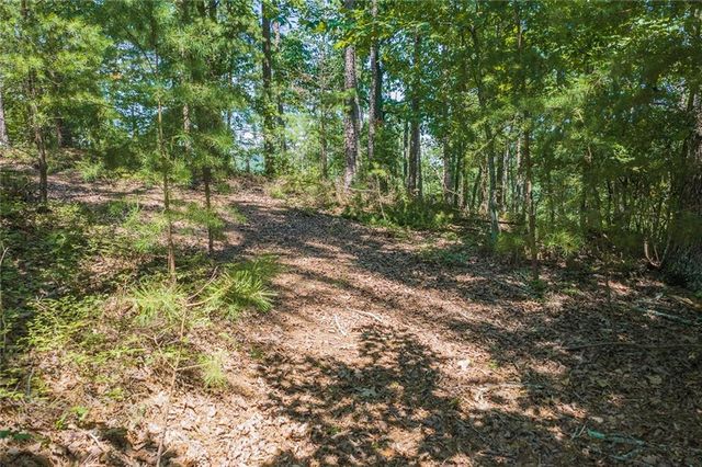 694-95 Railey Ridge, Ranger, GA 30734