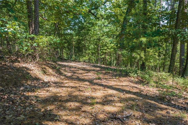 694-95 Railey Ridge, Ranger, GA 30734