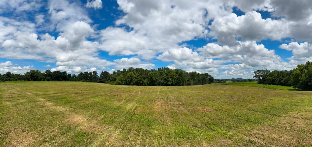 0 Ben Armstrong Rd, Castalian Springs, TN 37031