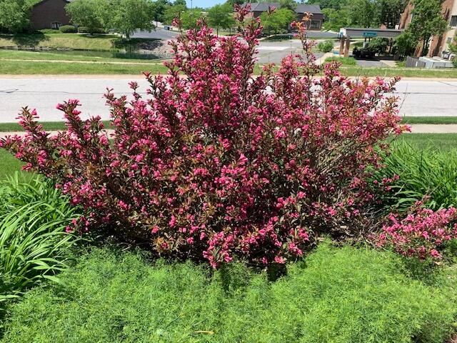 1709 Chandana Trail, Valparaiso, IN 46383