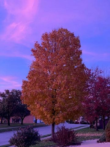 1709 Chandana Trail, Valparaiso, IN 46383