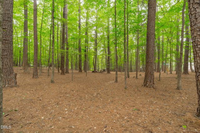 2 Sagamore Place, Hillsborough, NC 27278