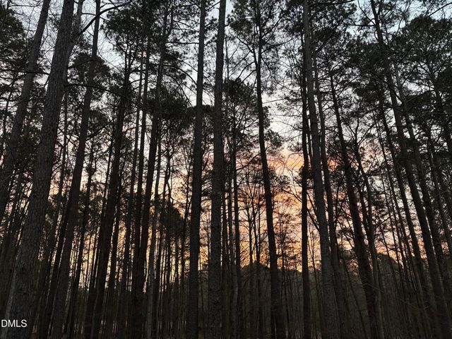 2 Sagamore Place, Hillsborough, NC 27278