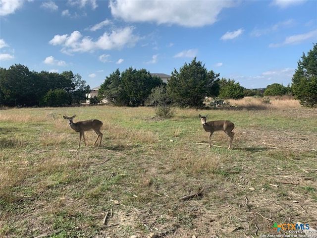 523 Oak Shores Drive, Canyon Lake, TX 78133