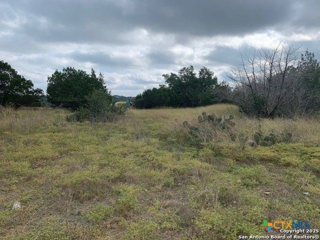 523 Oak Shores Drive, Canyon Lake, TX 78133