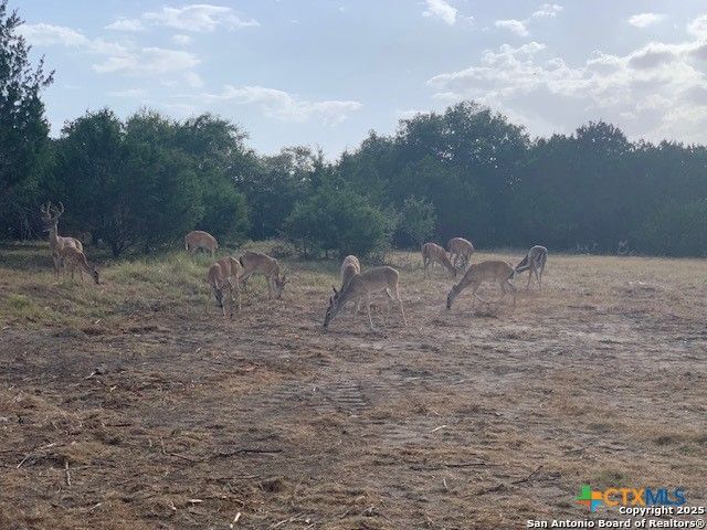 523 Oak Shores Drive, Canyon Lake, TX 78133