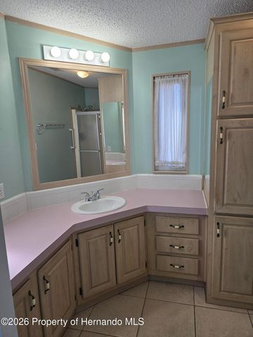 9091 Dickens Avenue, Brooksville, FL 34613