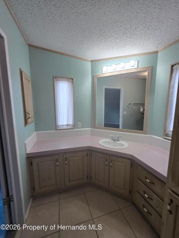 9091 Dickens Avenue, Brooksville, FL 34613