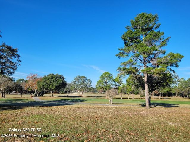 9091 Dickens Avenue, Brooksville, FL 34613
