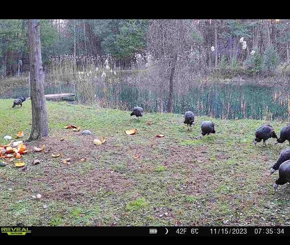 334 THOMAS WAY, Sobieski, WI 54171