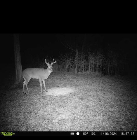 334 THOMAS WAY, Sobieski, WI 54171