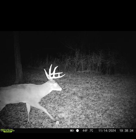 334 THOMAS WAY, Sobieski, WI 54171