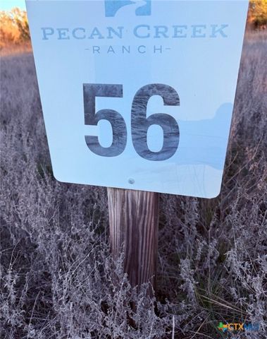 TBD County Road 3642, Copperas Cove, TX 76522