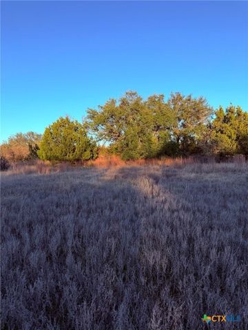 TBD County Road 3642, Copperas Cove, TX 76522
