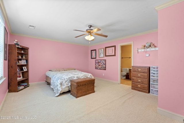 13242 Three Hawks Drive, Olive Branch, MS 38654