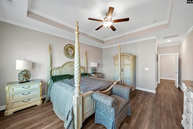 28 Starry Night Court, Chapin, SC 29036