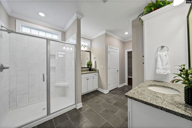 28 Starry Night Court, Chapin, SC 29036