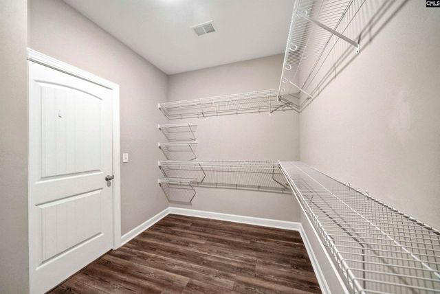 28 Starry Night Court, Chapin, SC 29036