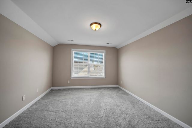 28 Starry Night Court, Chapin, SC 29036