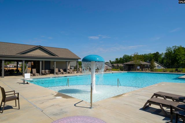 28 Starry Night Court, Chapin, SC 29036