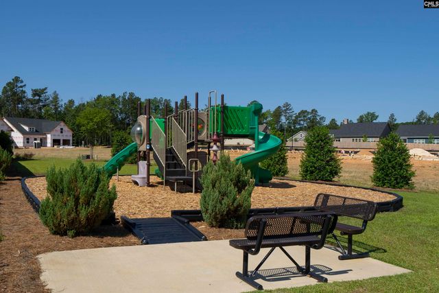 28 Starry Night Court, Chapin, SC 29036