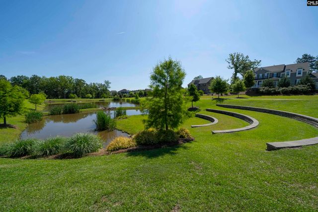 28 Starry Night Court, Chapin, SC 29036