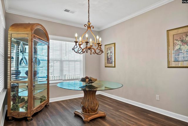 28 Starry Night Court, Chapin, SC 29036